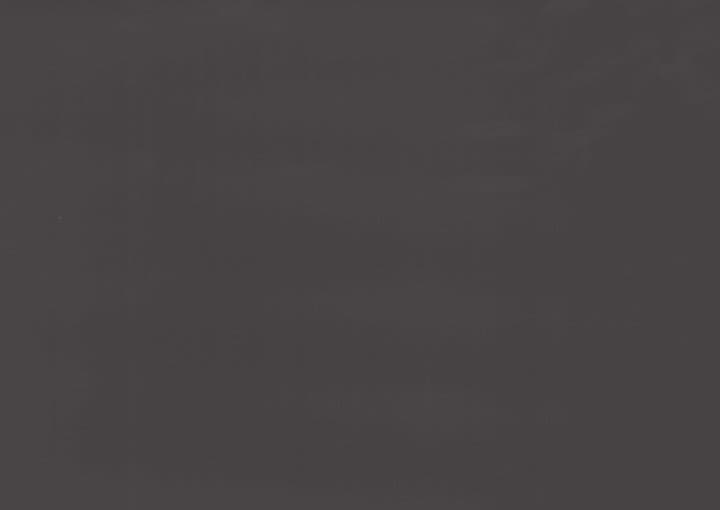 Smoke Oak PVC film surface — wood-grain close-up swatch