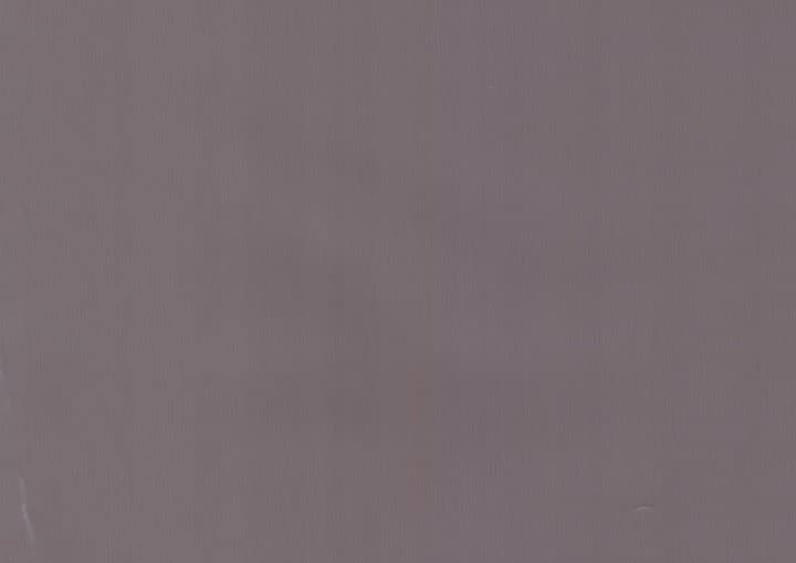 Rain Oak PVC film surface — wood-grain close-up swatch