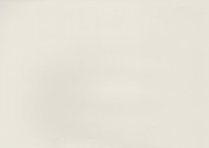 Stone Oak PVC film surface — wood-grain close-up swatch