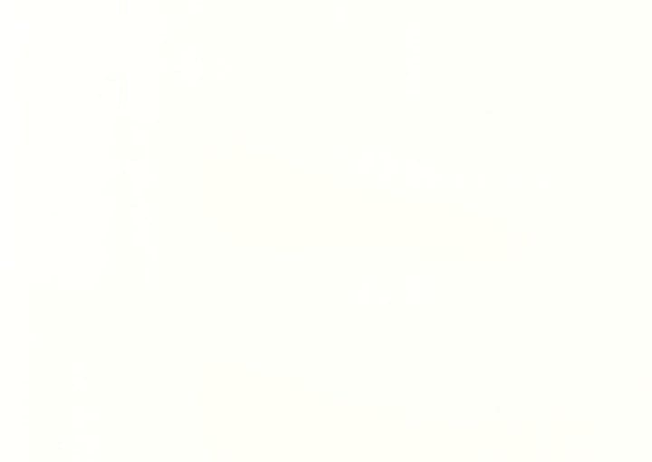 Pearl Beech PVC film surface — wood-grain close-up swatch
